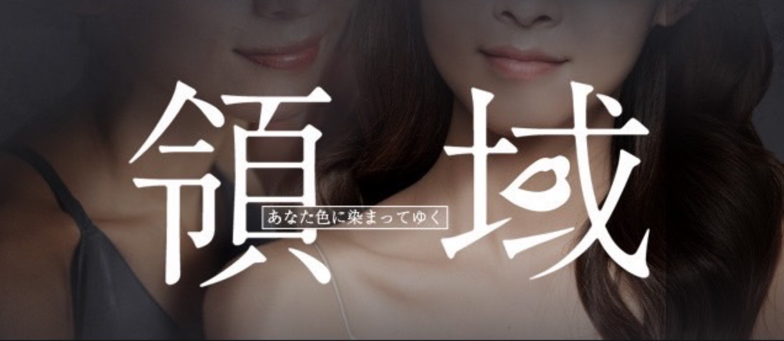 領域