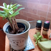 メンバーズラブ