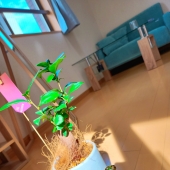 博多駅から3分の美人セラピストさんが集まる隠れ家店